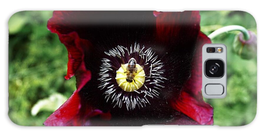 Poppy Galaxy Case featuring the photograph Centered by Merle Grenz