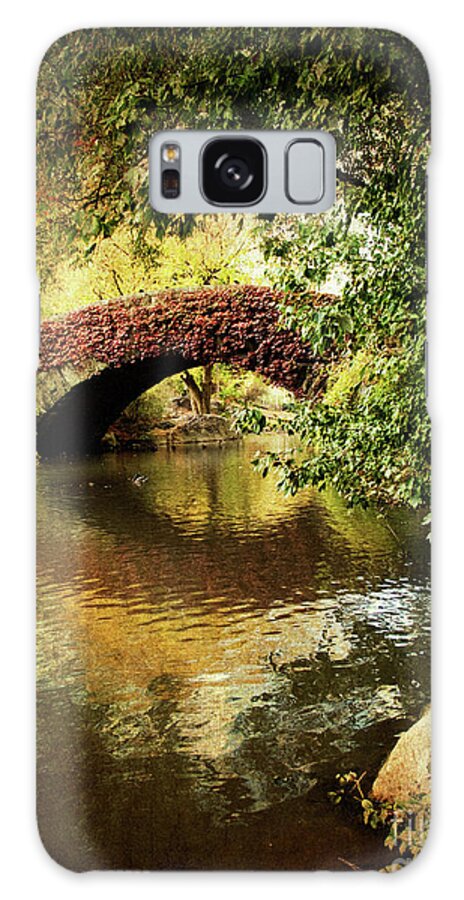 Central Park Galaxy Case featuring the photograph Central Park In Autumn Texture 6 by Dorothy Lee