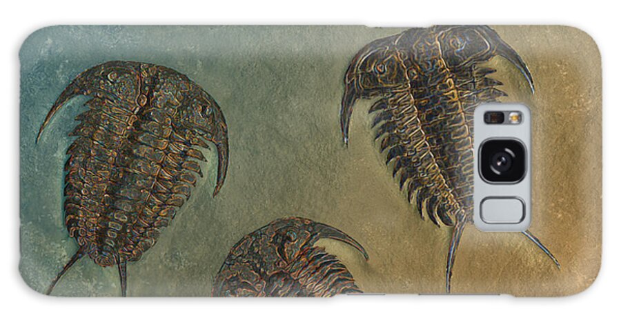 Trilobite Galaxy Case featuring the photograph Ceraurus and Leviceraurus by Melissa A Benson