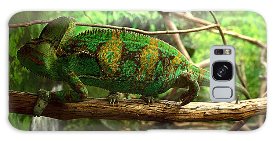James Smullins Galaxy Case featuring the photograph Chameleon by James Smullins