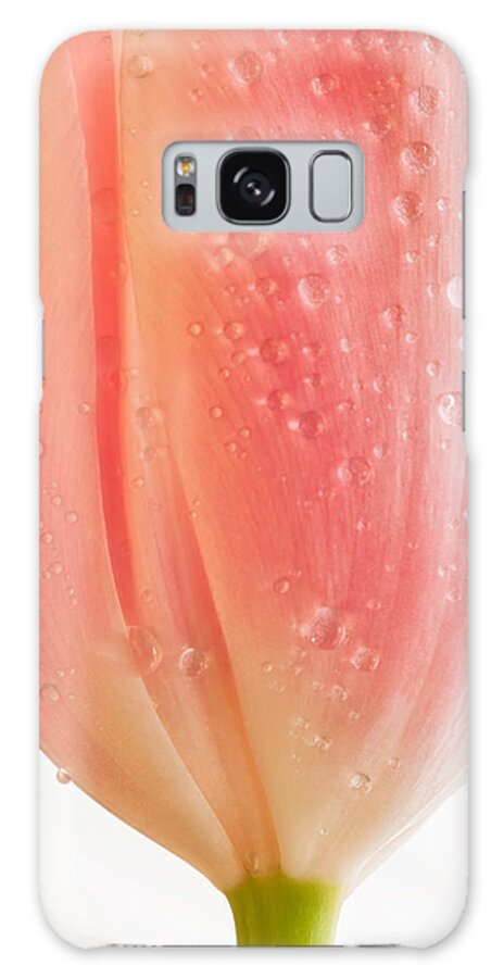 Nature Galaxy S8 Case featuring the photograph Champagne Tulip by Joan Herwig