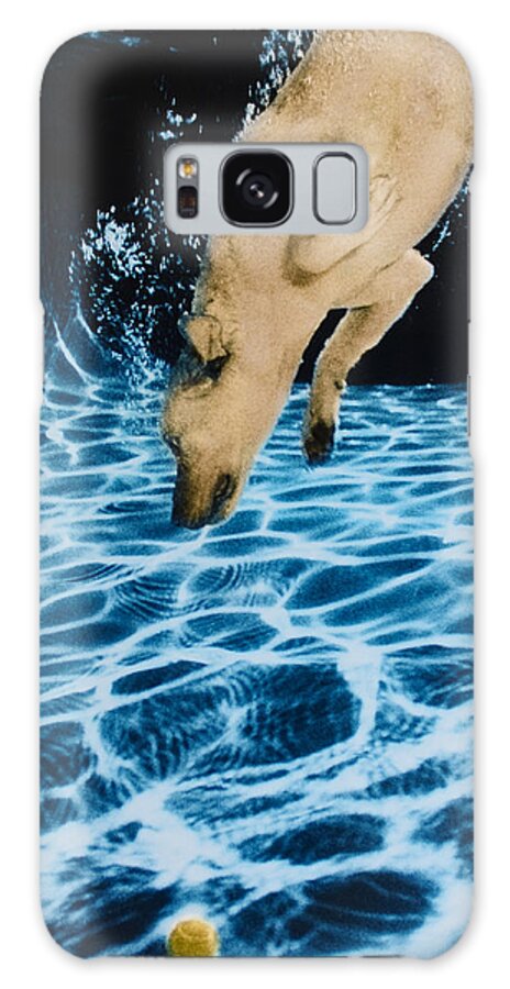 Dog Galaxy S8 Case featuring the photograph Chase 2 by Jill Reger