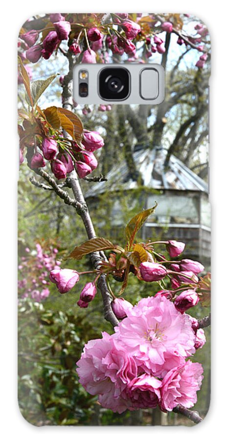 Treehouse Galaxy Case featuring the photograph Spring Cherry Blossoms by John Napoli