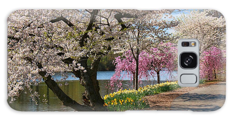 Cherry Blossoms Galaxy S8 Case featuring the photograph Cherry Blossom Trees of Branch Brook Park 17 by Allen Beatty