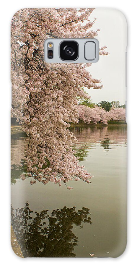Tidal Basin Galaxy S8 Case featuring the photograph Cherry Blossoms Along the Tidal Basin 8x10 by Leah Palmer