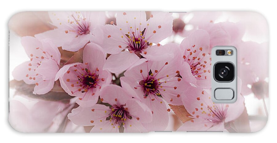 Cherry Tree Galaxy Case featuring the photograph Cherry Blossoms by Rod Sterling