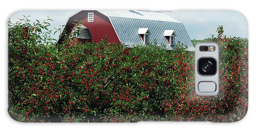 Door County Galaxy Case featuring the photograph Cherry Orchard and Barn by David T Wilkinson