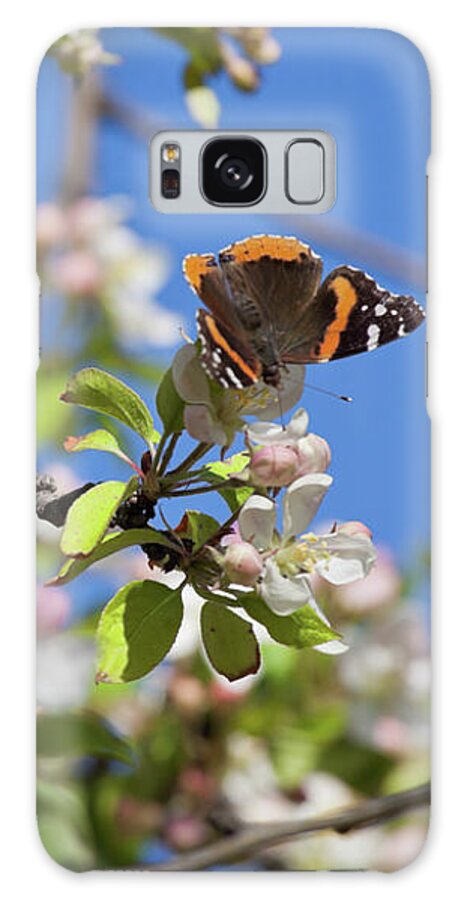 Butterfly Galaxy Case featuring the photograph Monarch Butterfly on Cherry Tree by Tatiana Travelways