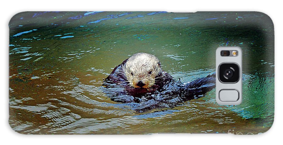 Sea Otter Galaxy Case featuring the photograph Chillin by Frank Larkin