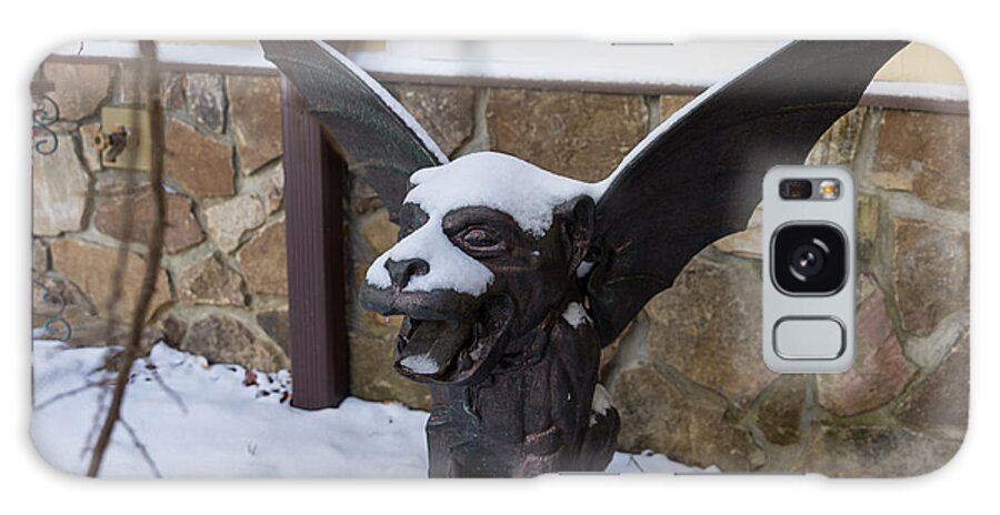 Gargoyle Galaxy Case featuring the photograph Chimera In The Snow by D K Wall