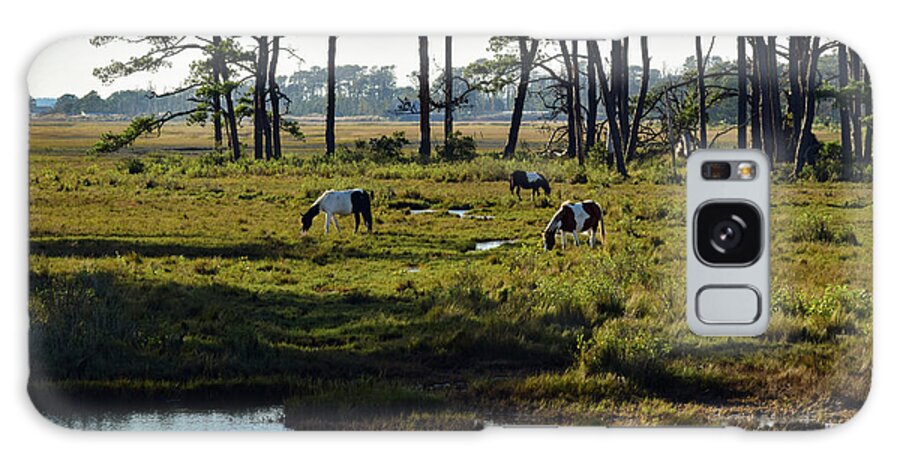Chincoteague Galaxy Case featuring the photograph Chincoteague Ponies by Nicole Lloyd