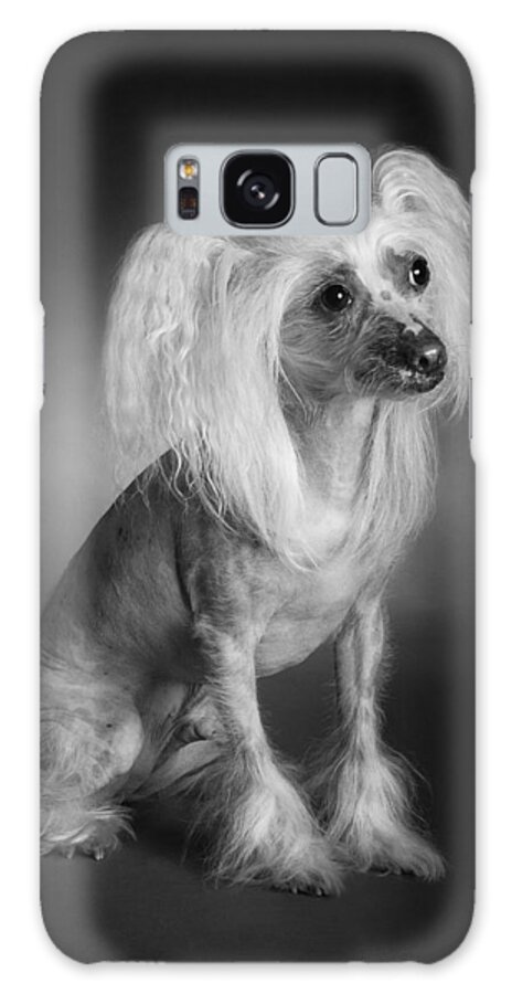 Dog Galaxy Case featuring the photograph Chinese Crested - 03 by Larry Carr