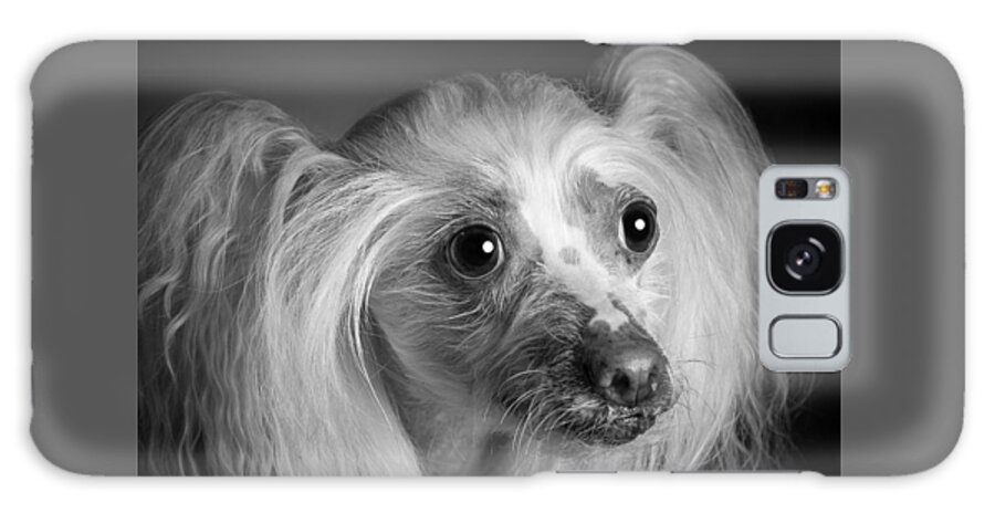 Dog Galaxy Case featuring the photograph Chinese Crested - 04 by Larry Carr