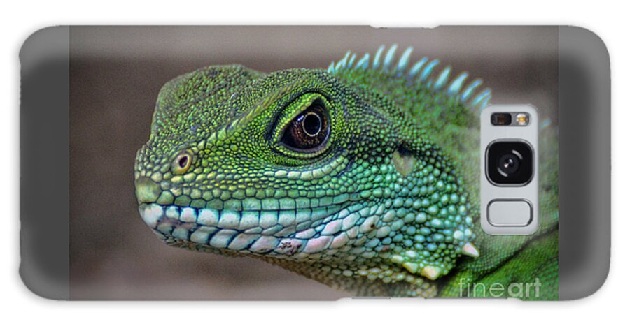 Chinese Galaxy Case featuring the photograph Chinese Water Dragon by Savannah Gibbs