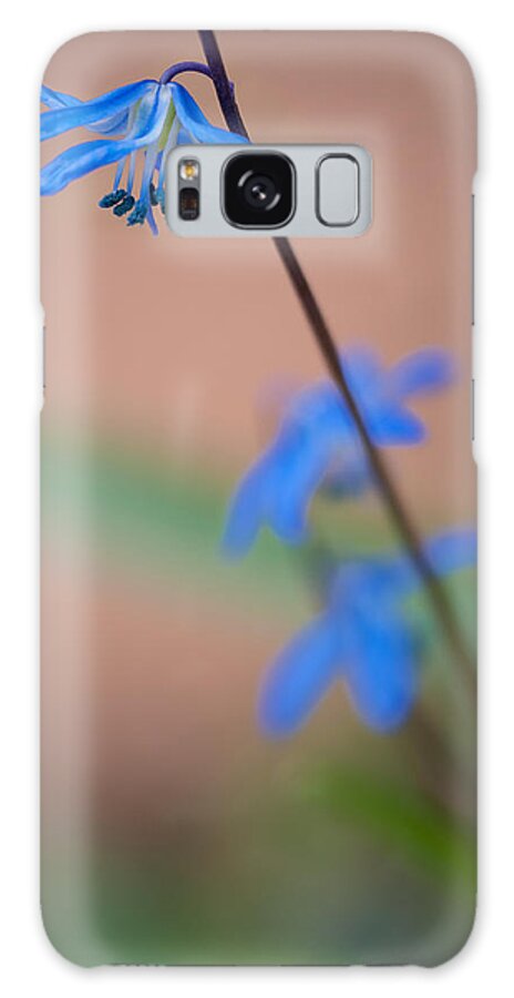 April Galaxy Case featuring the photograph Chionodoxa by Andreas Freund