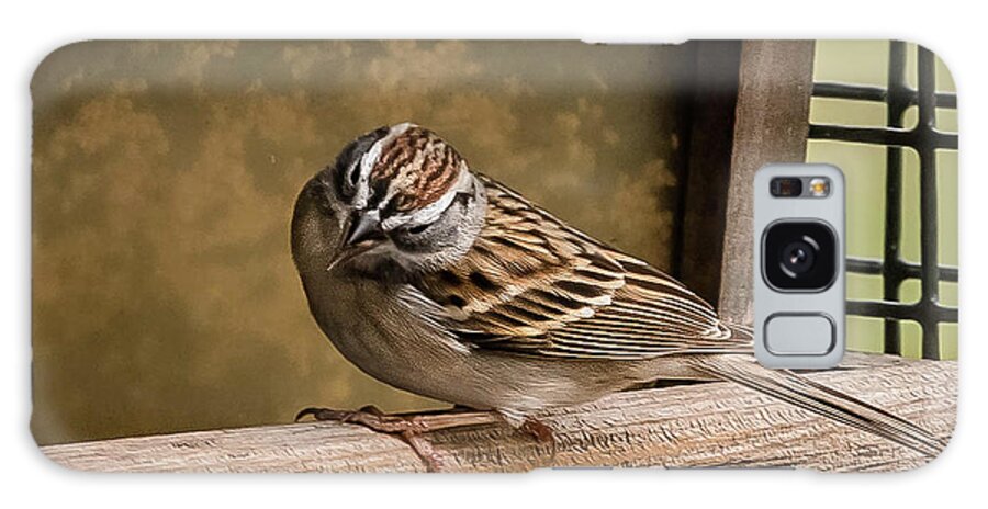 Birds Galaxy Case featuring the photograph Chipping Sparrow by Cynthia Wolfe