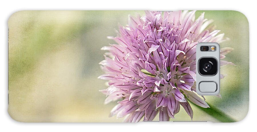 Chive Galaxy Case featuring the photograph Chives Blossom by Inge Riis McDonald