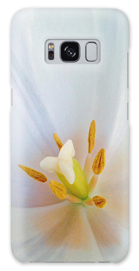 Tulip Galaxy Case featuring the photograph Christened Tulip by Gwyn Newcombe
