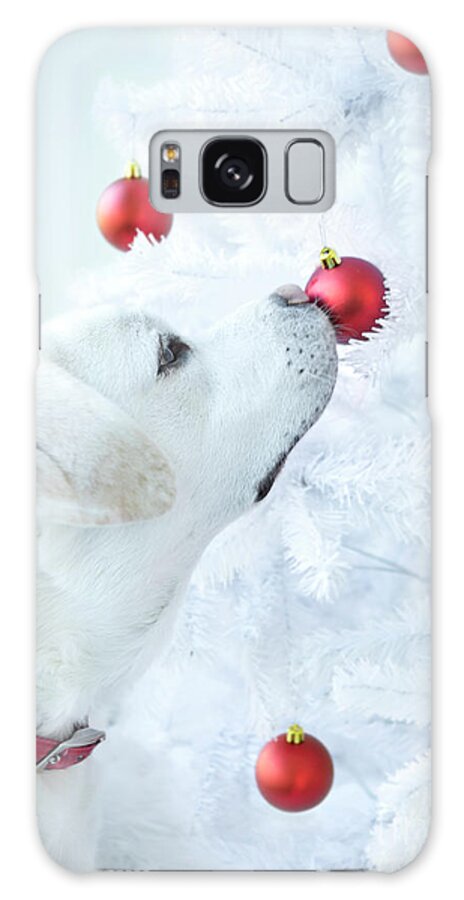 Christmas Galaxy Case featuring the photograph Christmas Lab by Diane Diederich