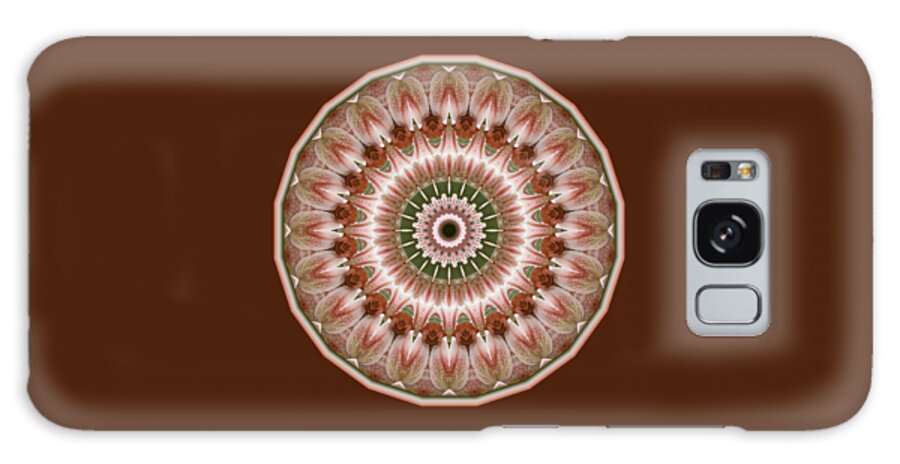 Roses Galaxy Case featuring the digital art Cinnamon Roses and Thorns by Lynde Young