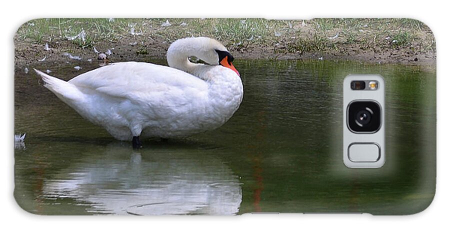 Art Galaxy Case featuring the photograph Cleaning Swan by Bradley Dever