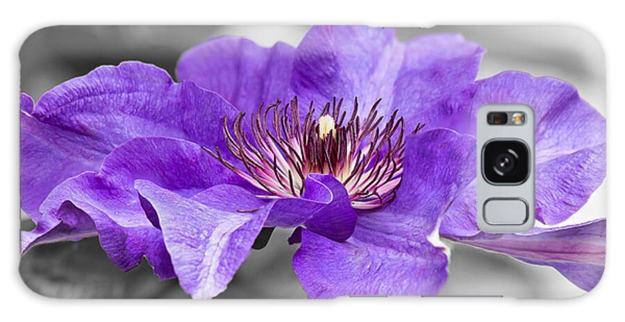 Clematis Galaxy Case featuring the photograph Clematis by Scott Carruthers