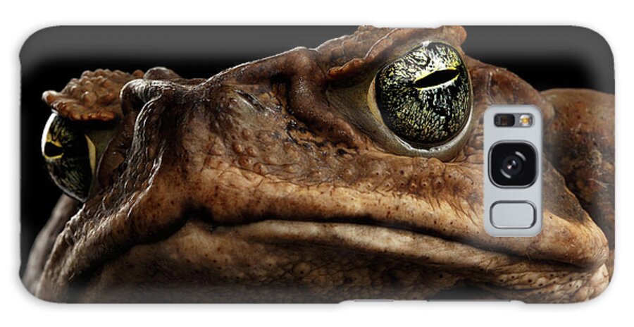 Toad Galaxy Case featuring the photograph Closeup Cane Toad - Bufo marinus, giant neotropical or marine toad Isolated on Black Background by Sergey Taran