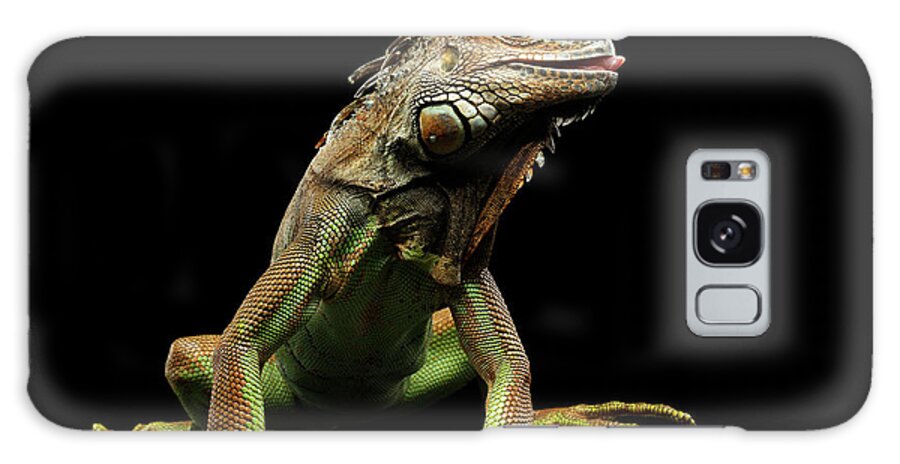 Iguana Galaxy Case featuring the photograph Closeup Green Iguana Isolated on Black Background by Sergey Taran