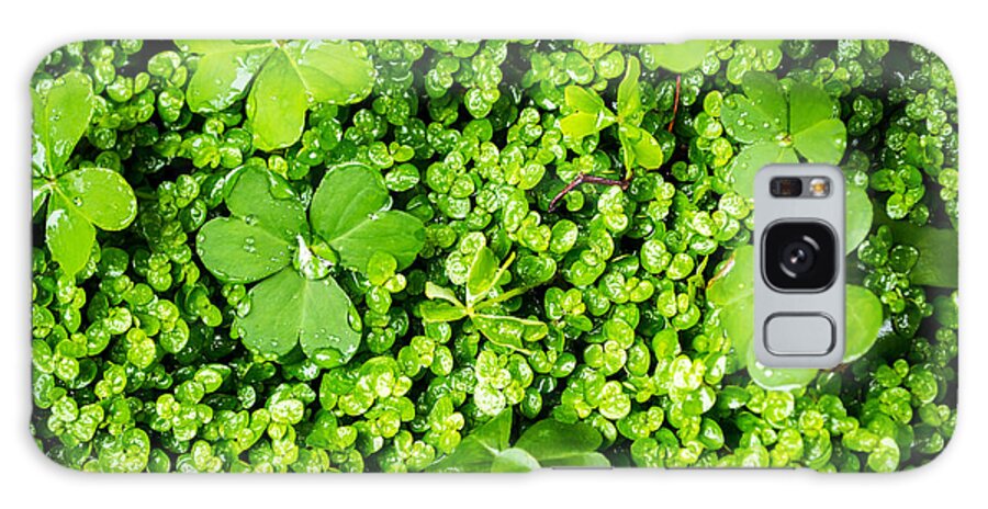 Lush Vegetation Galaxy S8 Case featuring the photograph Lush Green Soothing Organic Sense by John Williams
