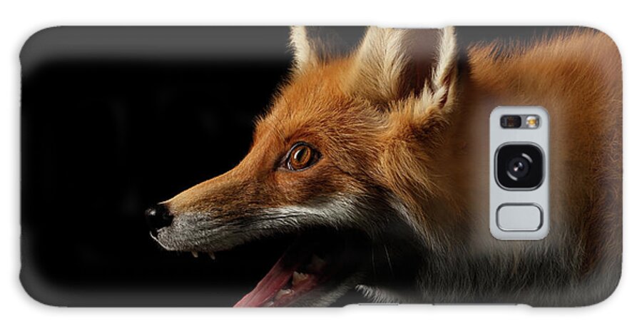 Fox Galaxy Case featuring the photograph Red Fox in Profile by Sergey Taran