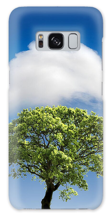 Tree Galaxy Case featuring the photograph Cloud Cover by Mal Bray