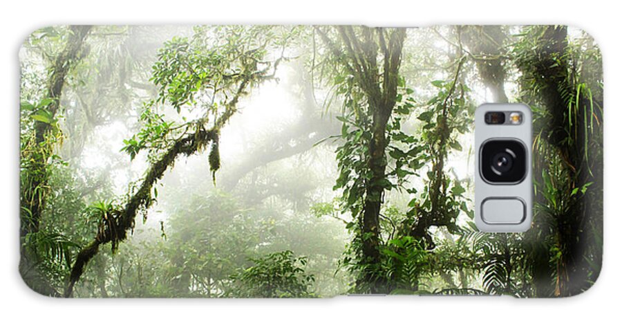 #faatoppicks Galaxy Case featuring the photograph Cloud Forest by Nicklas Gustafsson