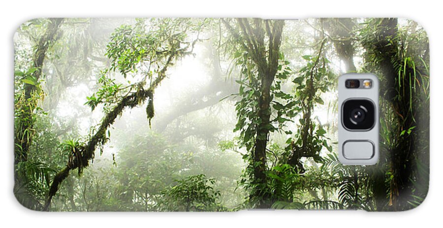 Forest Galaxy Case featuring the photograph Cloud Forest by Nicklas Gustafsson