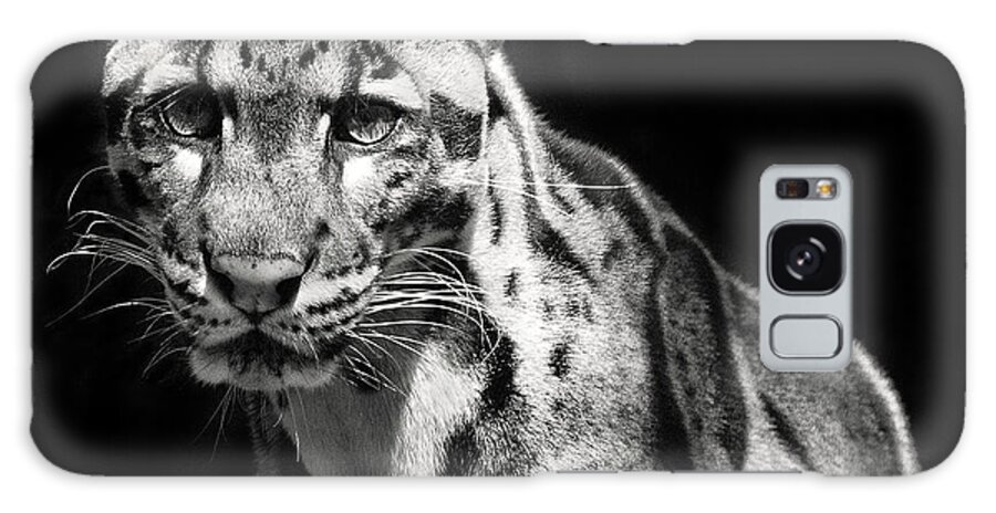 Leopard Galaxy Case featuring the photograph Clouded Leopard by Art Cole