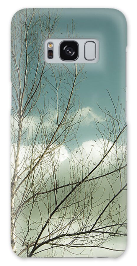 Tree Top Galaxy Case featuring the photograph Cloudy Blue Sky Through Tree Top No 1 by Ben and Raisa Gertsberg