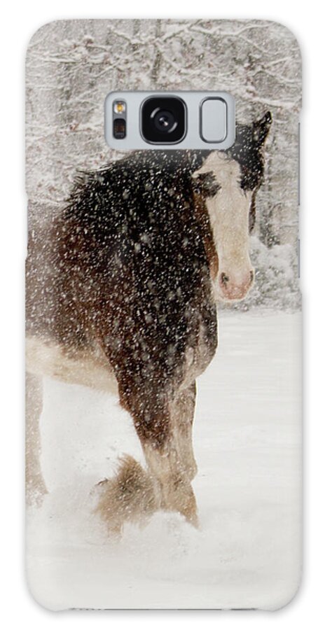Horses Galaxy S8 Case featuring the photograph Clydesdale In The Snow by Kristia Adams