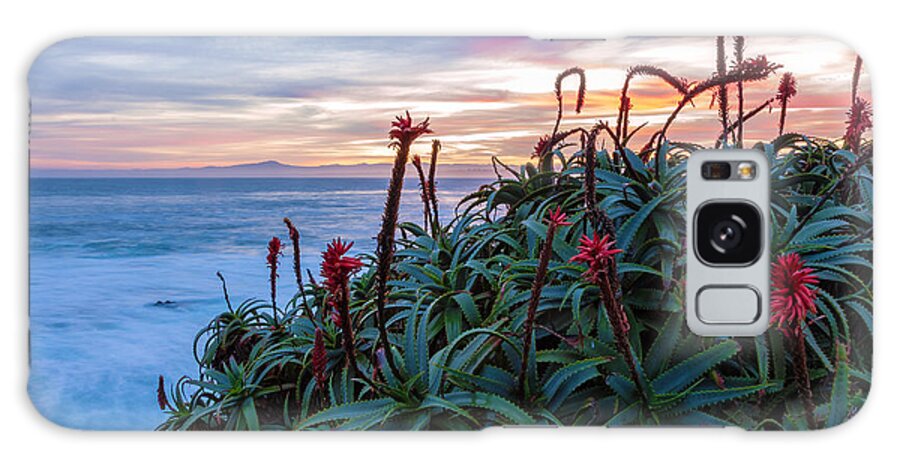 Landscape Galaxy S8 Case featuring the photograph Coastal Aloes by Jonathan Nguyen