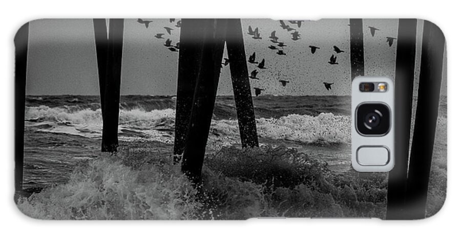 Bird Galaxy Case featuring the photograph Coastal Movements by Nicole Lloyd