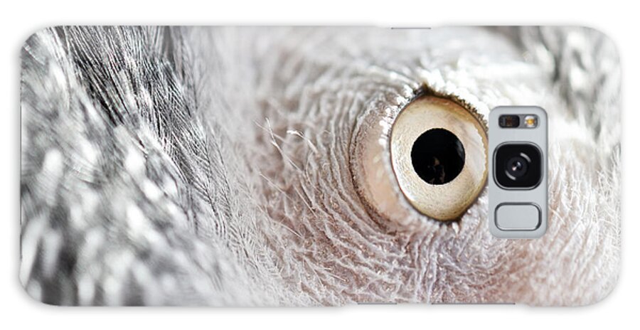 Coco Galaxy Case featuring the photograph Coc-s Eye by PatriZio M Busnel