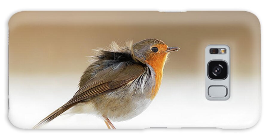 European Robin Galaxy Case featuring the photograph Cold Feet II - Little Red Robin in the Snow by Roeselien Raimond