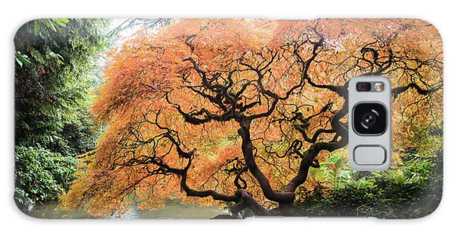 Japanese Maple Galaxy Case featuring the photograph Color Me Autumn by Abhay P