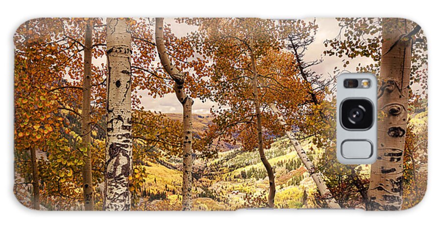  Janice Rae Pariza Galaxy Case featuring the photograph Colorado Amazing Fall Colors by Janice Pariza