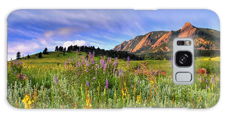 Colorado Galaxy Case featuring the photograph Colorado Wildflowers by Scott Mahon