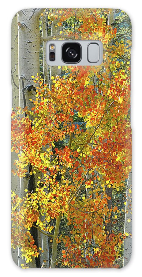 Colorado Galaxy S8 Case featuring the photograph Colorful Aspen along Million Dollar Highway by Ray Mathis