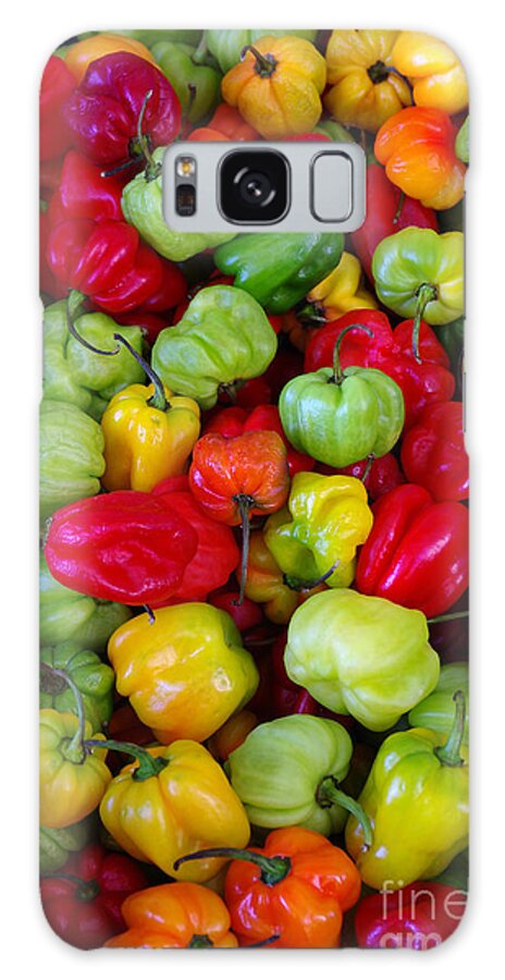 Background Galaxy Case featuring the photograph Colorful Chili Pepper by Carlos Caetano