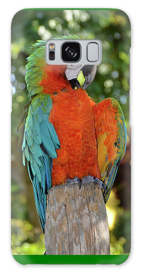 Macaw Galaxy Case featuring the photograph Colorful Macaw with Wings Spread by Artful Imagery