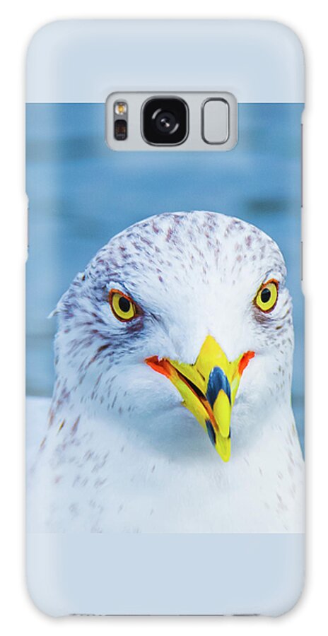 20170128 Galaxy Case featuring the photograph Colorful Seagull Smiling by Jeff at JSJ Photography