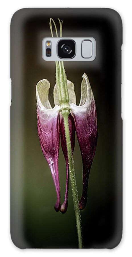 Flower Galaxy Case featuring the photograph Columbine by Allin Sorenson