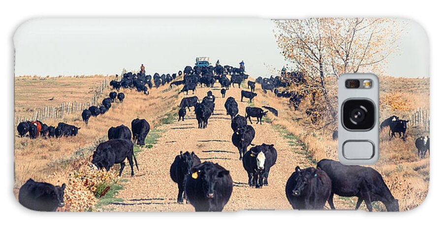 Black Angus Galaxy Case featuring the photograph Coming Down the Road by Todd Klassy
