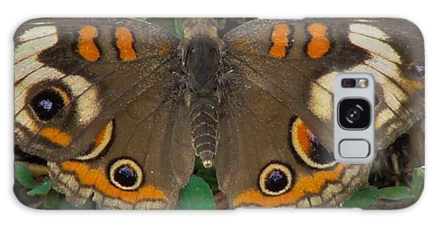 Insect Galaxy Case featuring the photograph Common Buckeye by Carl Moore